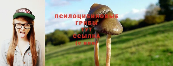 гидра Костерёво