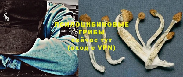 не бодяженный Коряжма