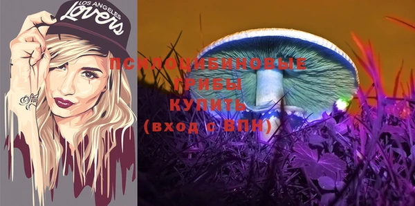 гидра Костерёво