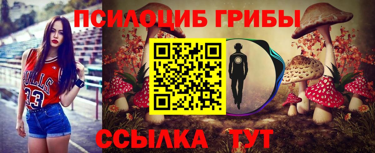 Усть-Илимск  Галлюциногенные грибы мицелий  Вход с VPN 